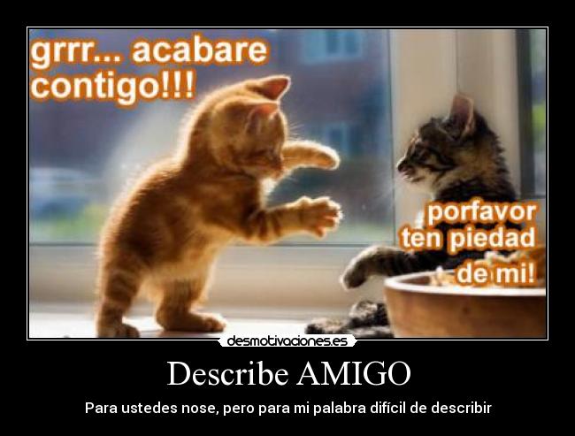 Describe AMIGO - Para ustedes nose, pero para mi palabra difícil de describir