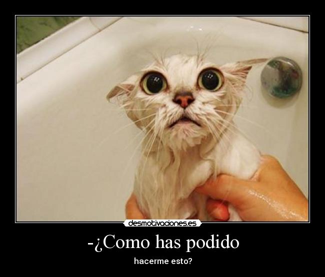 -¿Como has podido -