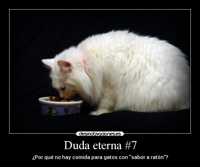 Duda eterna #7 -