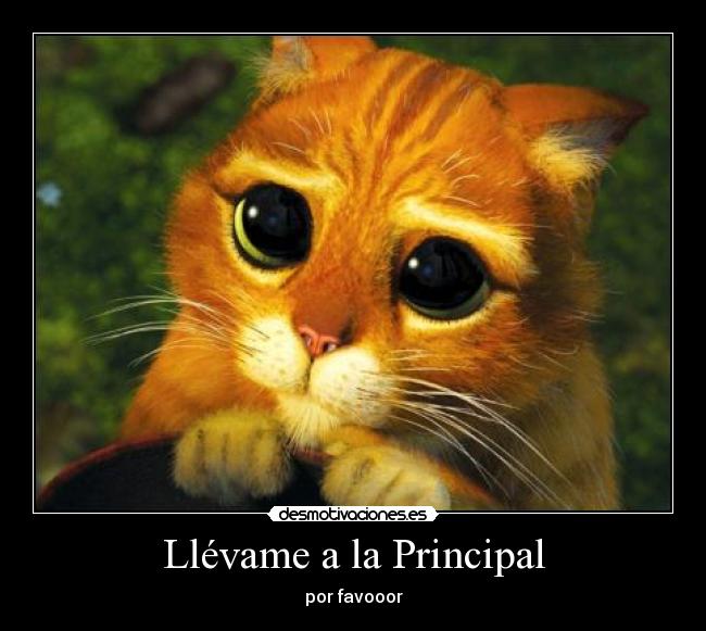 Llévame a la Principal -