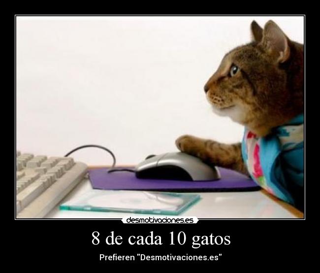 8 de cada 10 gatos - Prefieren Desmotivaciones.es