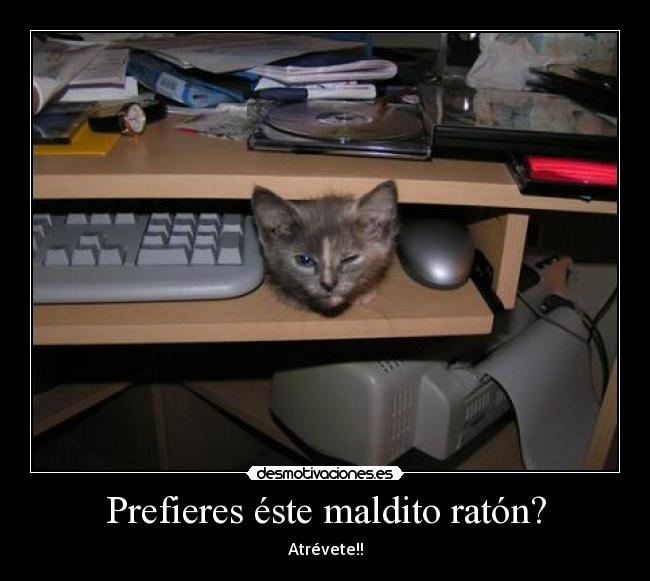 Prefieres éste maldito ratón? - Atrévete!!