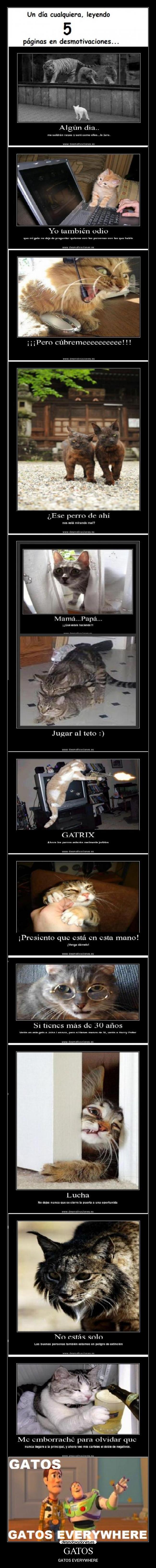 GATOS -