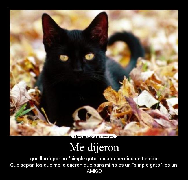 Me dijeron - 