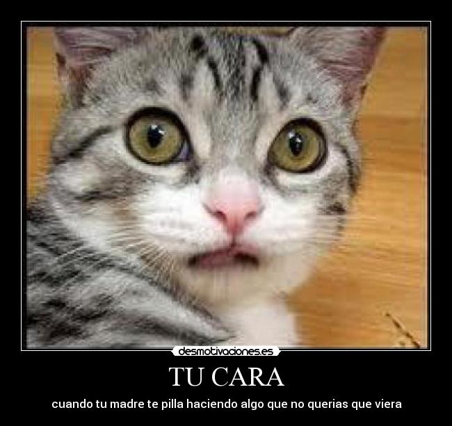 TU CARA - cuando tu madre te pilla haciendo algo que no querias que viera
