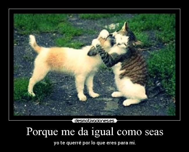 carteles amor incondicional desmotivaciones