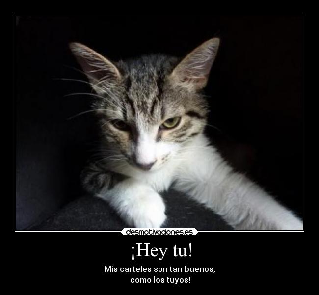 ¡Hey tu! - 