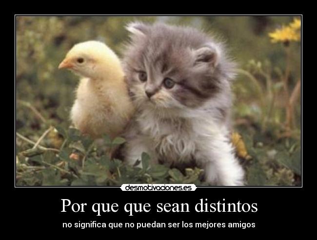 Por que que sean distintos -