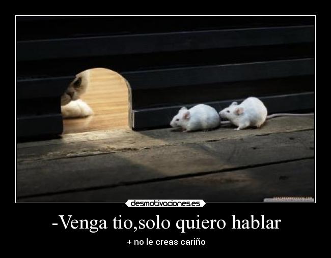 -Venga tio,solo quiero hablar -