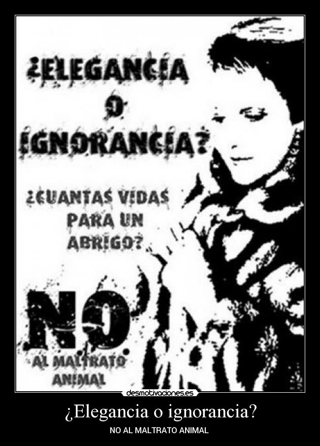 ¿Elegancia o ignorancia? -