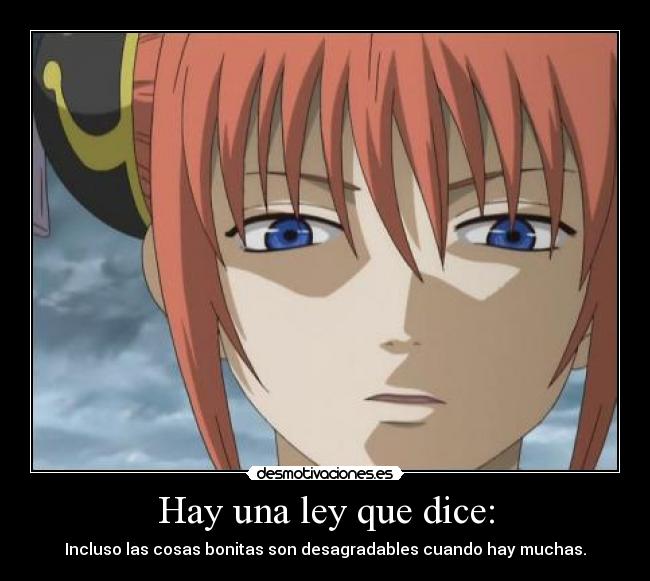 Hay una ley que dice: - Incluso las cosas bonitas son desagradables cuando hay muchas.