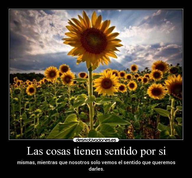 Las cosas tienen sentido por si -