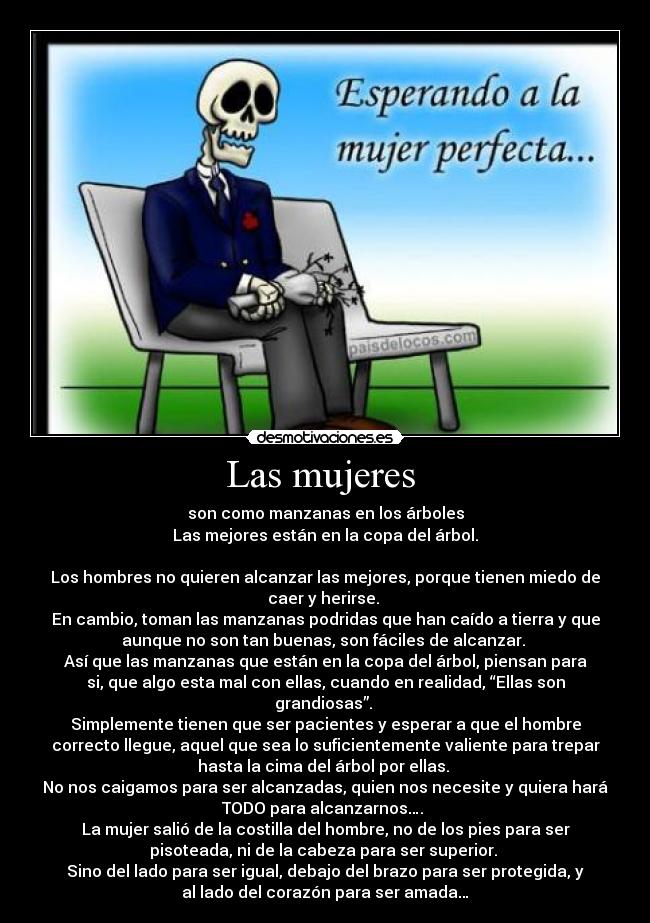 Las mujeres - son como manzanas en los árboles
Las mejores están en la copa del árbol.
Los hombres no quieren alcanzar las mejores, porque tienen miedo de
caer y herirse.
En cambio, toman las manzanas podridas que han caído a tierra y que
aunque no son tan buenas, son fáciles de alcanzar.
Así que las manzanas que están en la copa del árbol, piensan para
si, que algo esta mal con ellas, cuando en realidad, “Ellas son
grandiosas”.
Simplemente tienen que ser pacientes y esperar a que el hombre
correcto llegue, aquel que sea lo suficientemente valiente para trepar
hasta la cima del árbol por ellas.
No nos caigamos para ser alcanzadas, quien nos necesite y quiera hará
TODO para alcanzarnos….
La mujer salió de la costilla del hombre, no de los pies para ser
pisoteada, ni de la cabeza para ser superior.
Sino del lado para ser igual, debajo del brazo para ser protegida, y
al lado del corazón para ser amada…