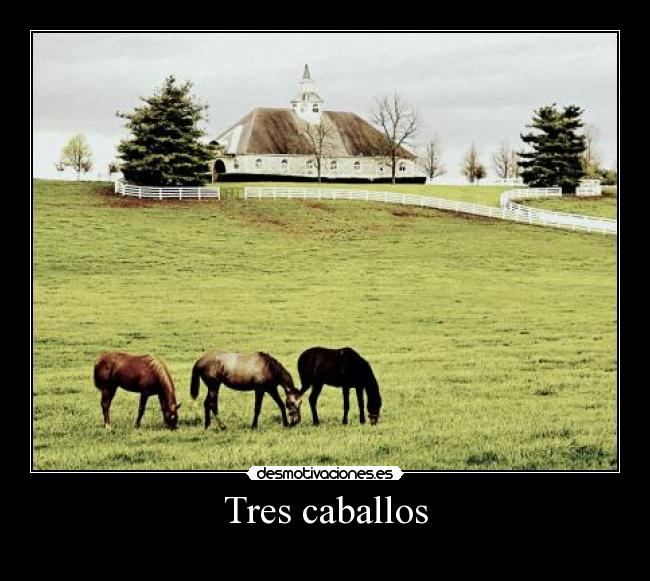Tres caballos -