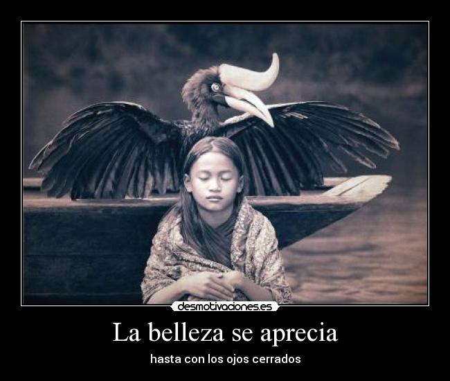 La belleza se aprecia - 