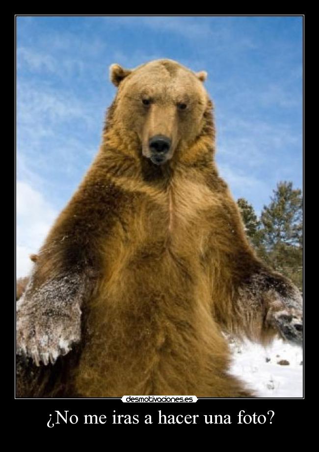 ¿No me iras a hacer una foto? -