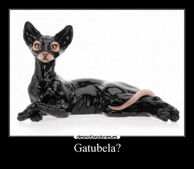 Gatubela? -