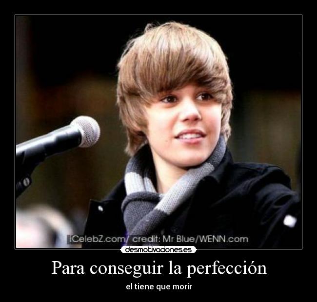 carteles para conseguir perfeccion desmotivaciones