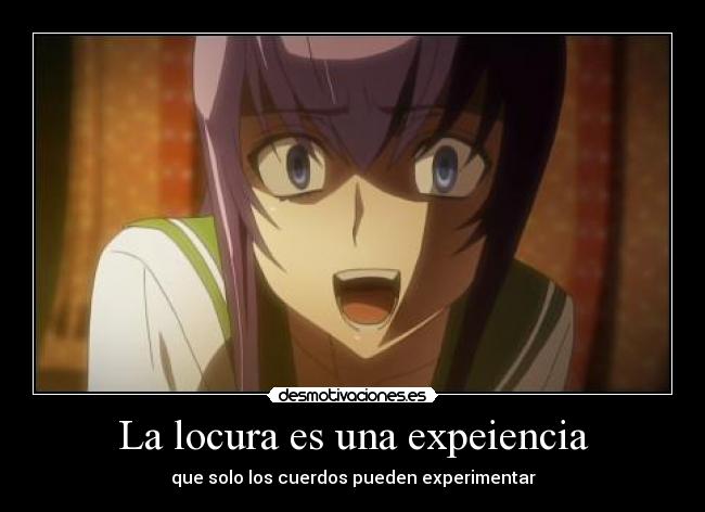 La locura es una expeiencia - 