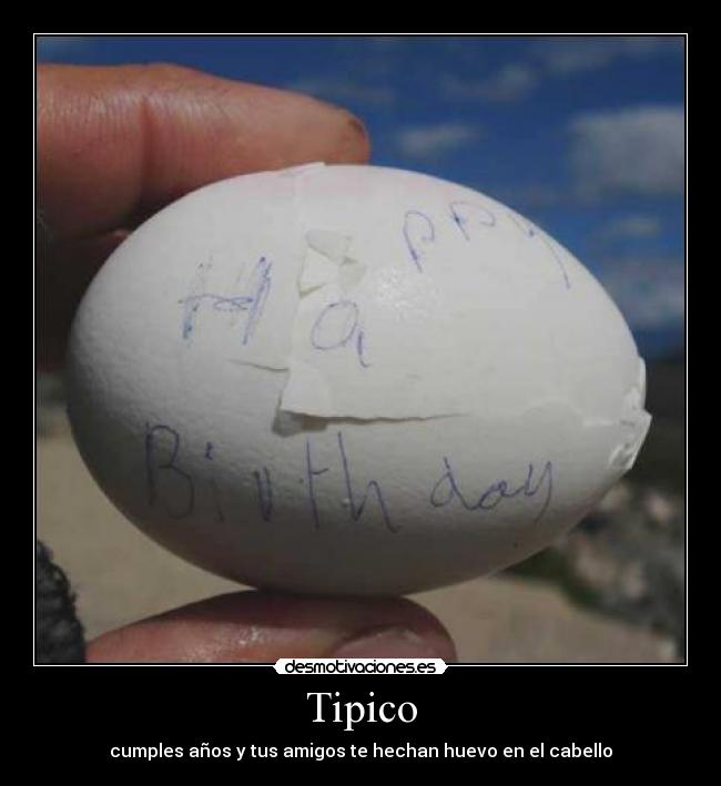 Tipico - 