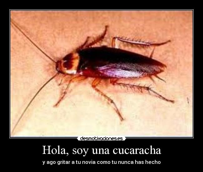 Hola, soy una cucaracha - y ago gritar a tu novia como tu nunca has hecho