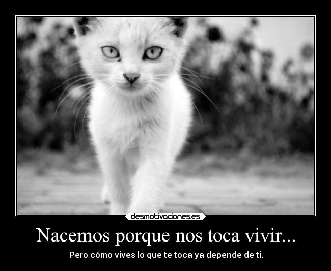 Nacemos porque nos toca vivir... - Pero cómo vives lo que te toca ya depende de ti.