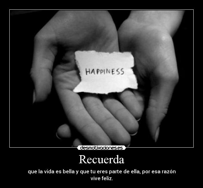 carteles vive feliz desmotivaciones
