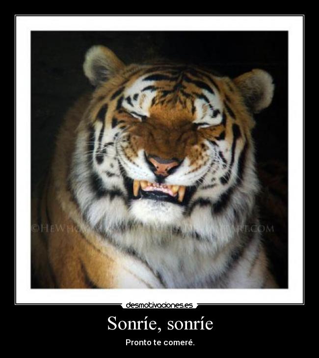 Sonríe, sonríe - Pronto te comeré.