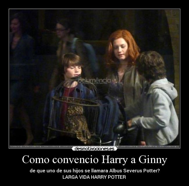 Como convencio Harry a Ginny - 