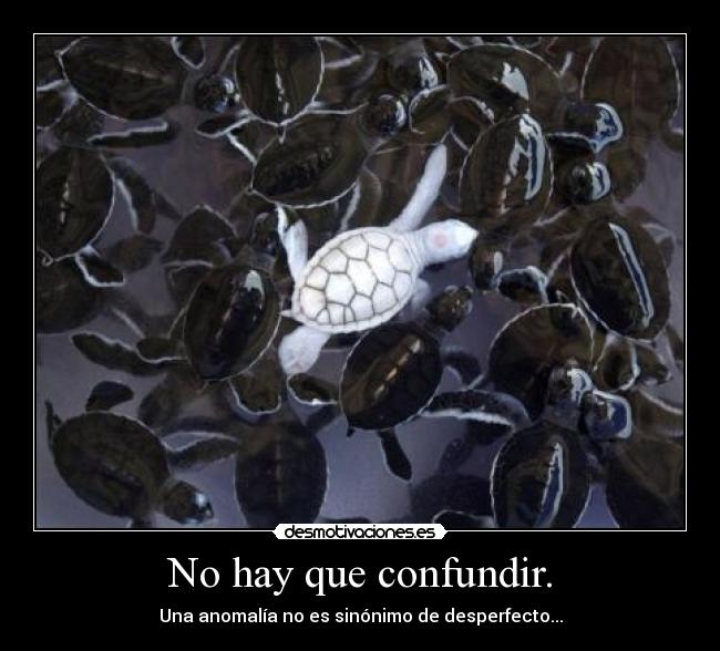 No hay que confundir. - 