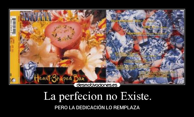 La perfecion no Existe. - PERO LA DEDICACIÓN LO REMPLAZA