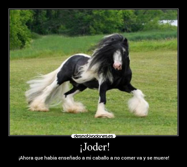 ¡Joder! - ¡Ahora que habia enseñado a mi caballo a no comer va y se muere!