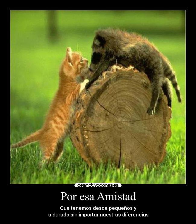 Por esa Amistad -