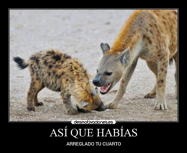 ASÍ QUE HABÍAS -