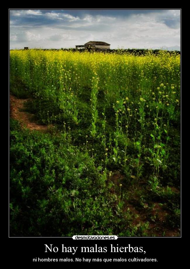 No hay malas hierbas, - 