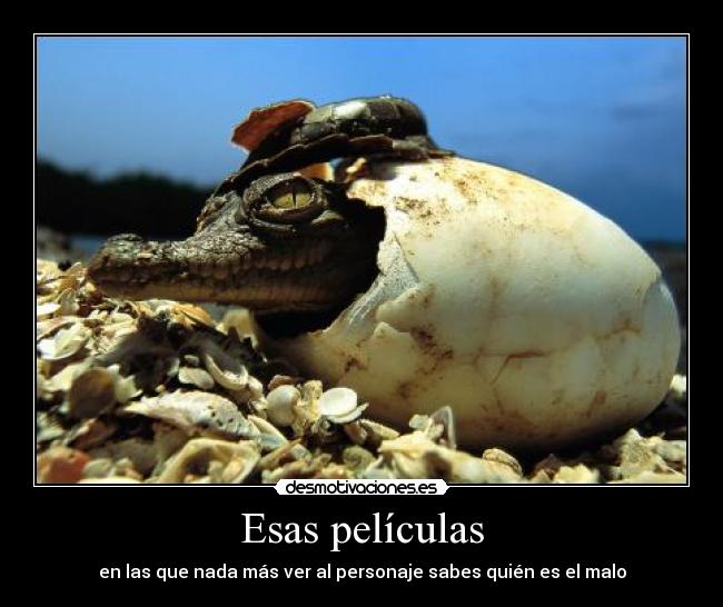 Esas películas - 