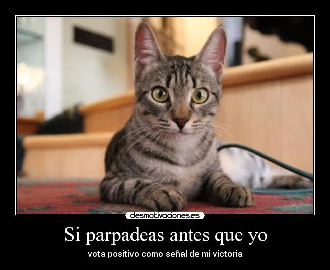 Si parpadeas antes que yo -