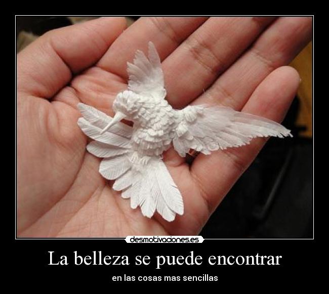 La belleza se puede encontrar - en las cosas mas sencillas