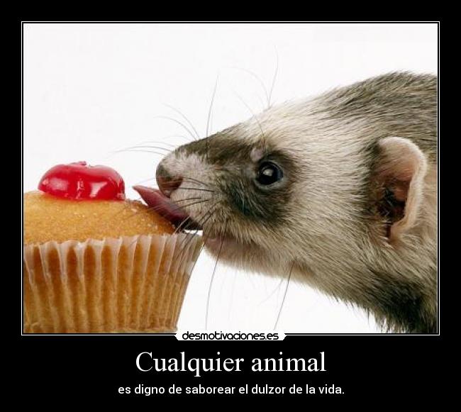 Cualquier animal - es digno de saborear el dulzor de la vida.