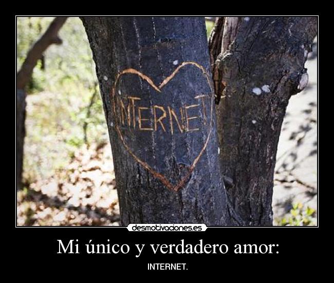 Mi único y verdadero amor: - INTERNET.