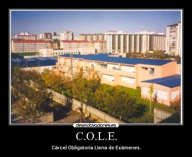 C.O.L.E. - 