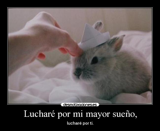 Lucharé por mi mayor sueño, - lucharé por ti.