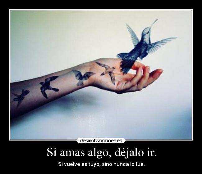 Si amas algo, déjalo ir. - Si vuelve es tuyo, sino nunca lo fue.