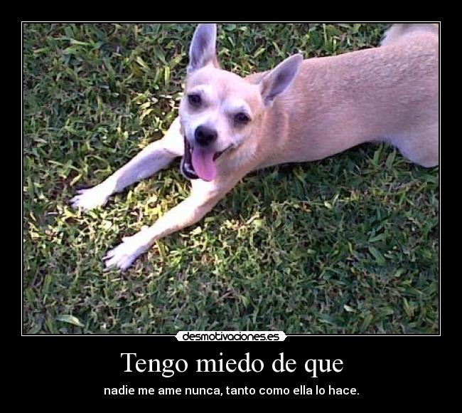 Tengo miedo de que - nadie me ame nunca, tanto como ella lo hace.