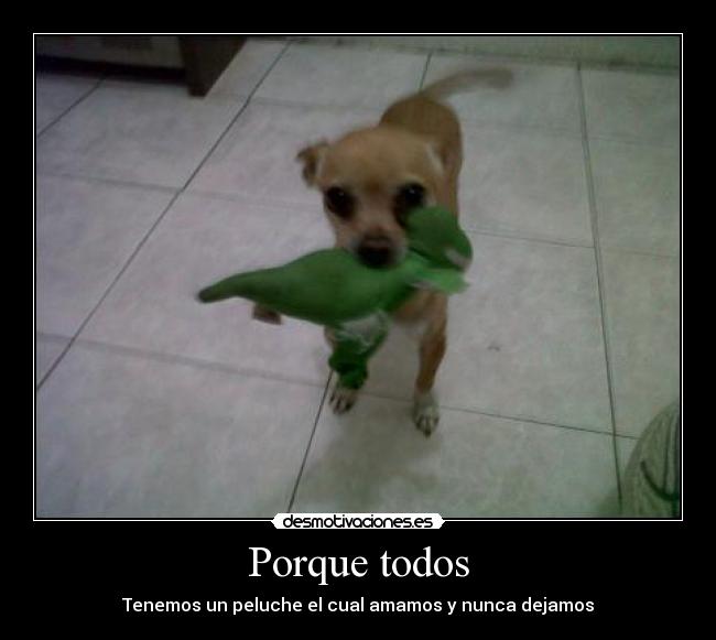 Porque todos - Tenemos un peluche el cual amamos y nunca dejamos