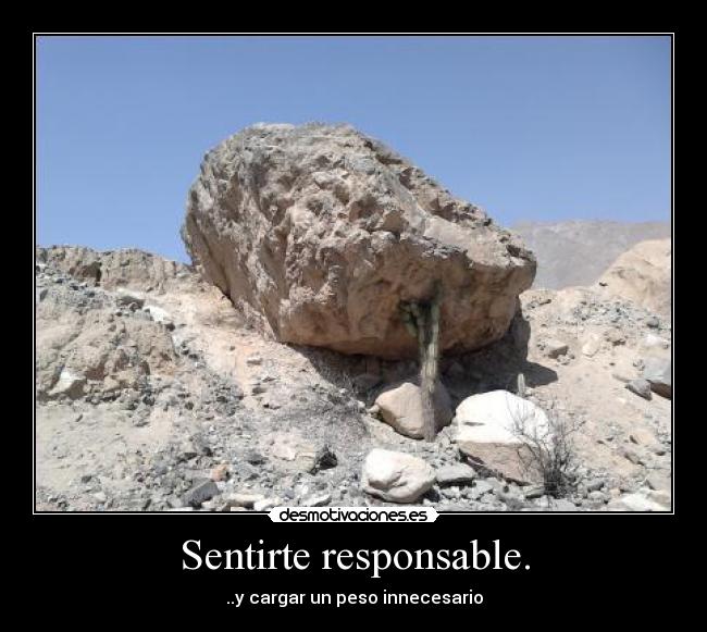 carteles peso desmotivaciones desmotivaciones