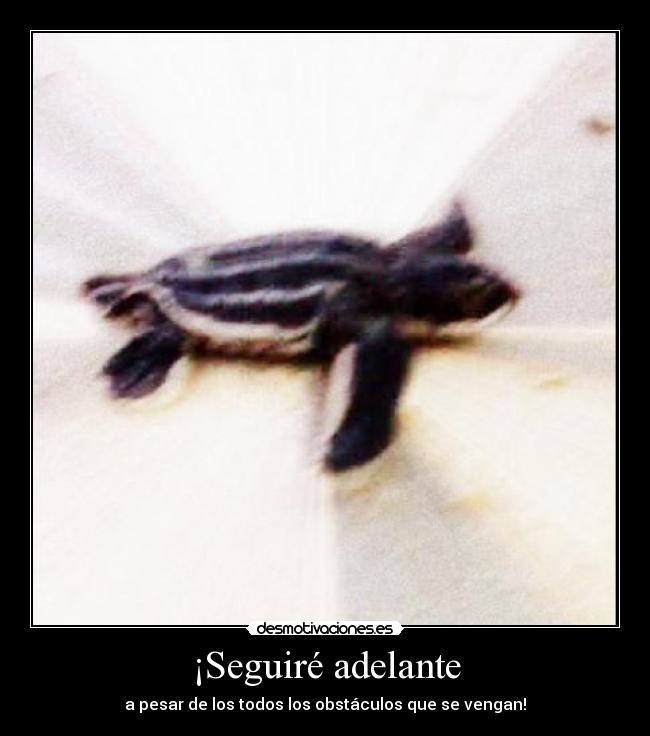 carteles valentinap_97hotmailcom desmotivaciones