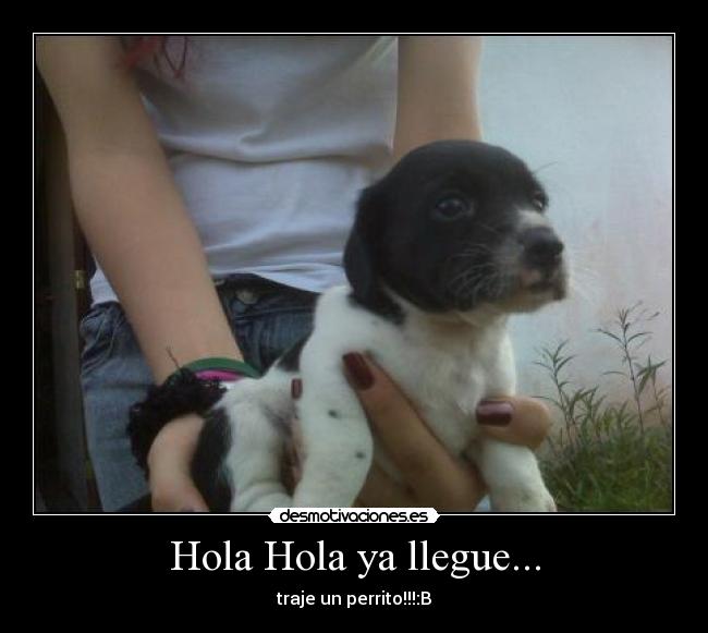 Hola Hola ya llegue... - 