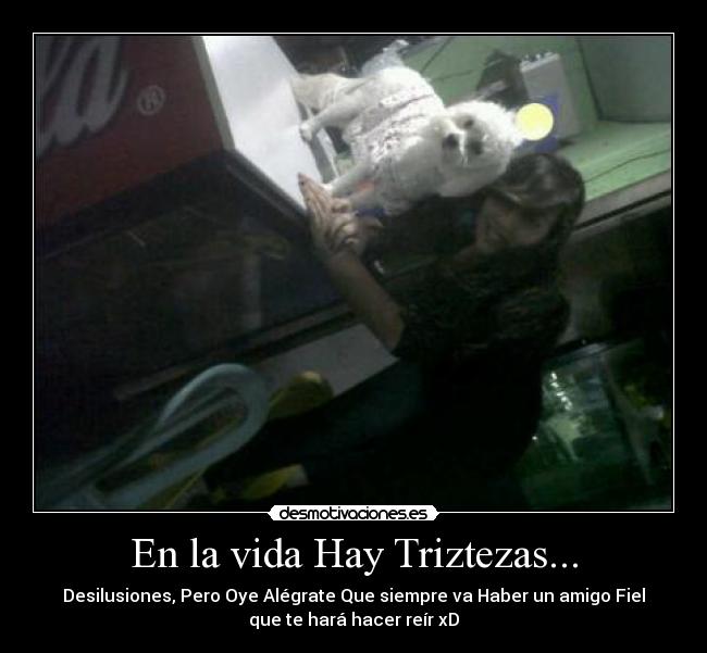 En la vida Hay Triztezas... - Desilusiones, Pero Oye Alégrate Que siempre va Haber un amigo Fiel
que te hará hacer reír xD
