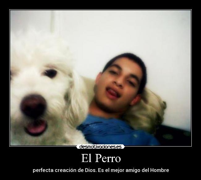 El Perro - 
